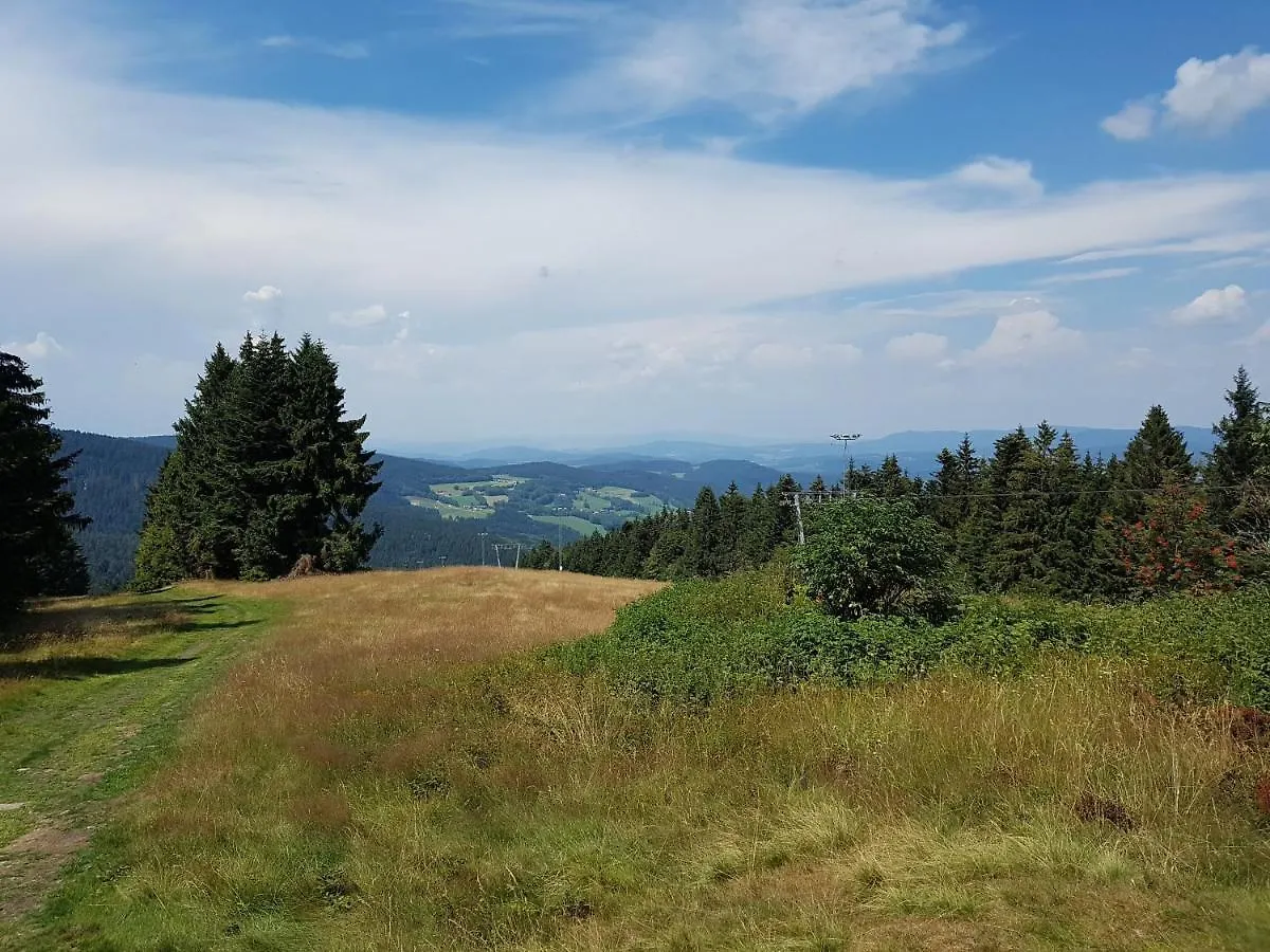 Apartment Traumurlaub Im Bayerische Wald Sankt Englmar