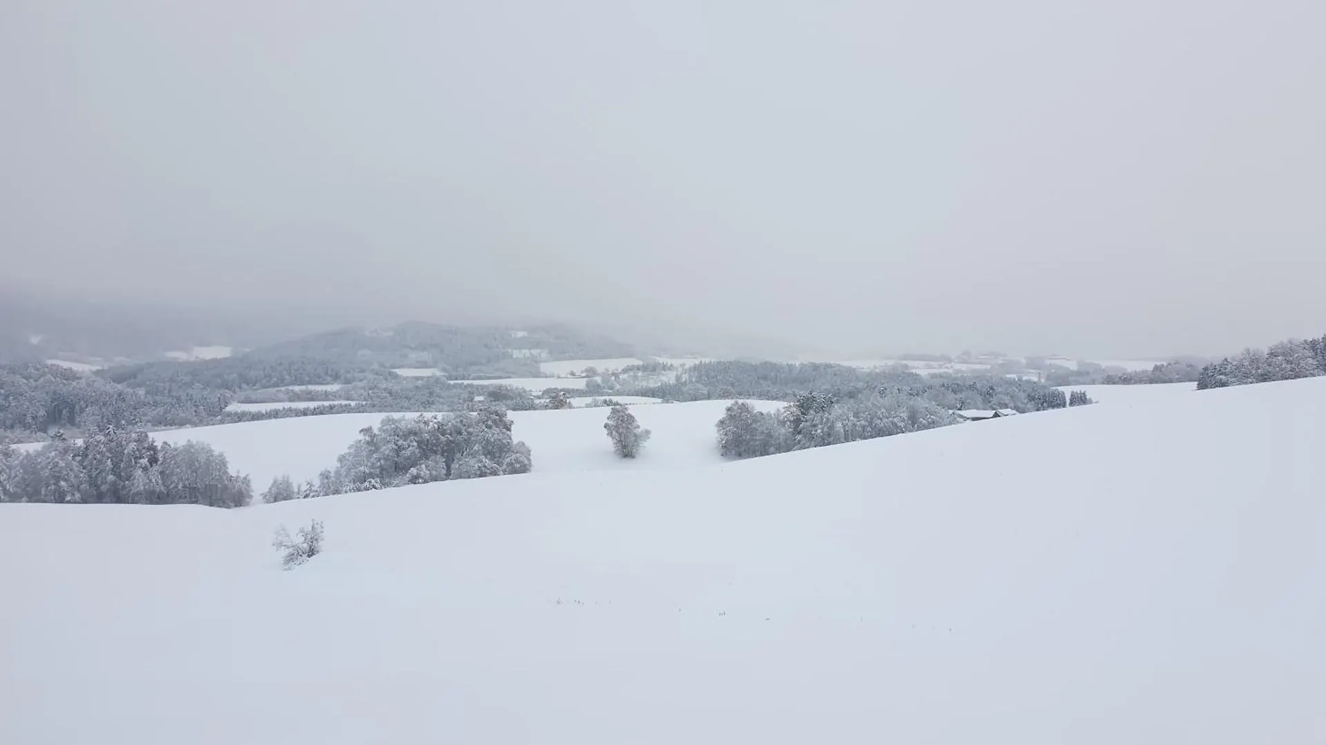 Apartment Traumurlaub Im Bayerische Wald Sankt Englmar Germany