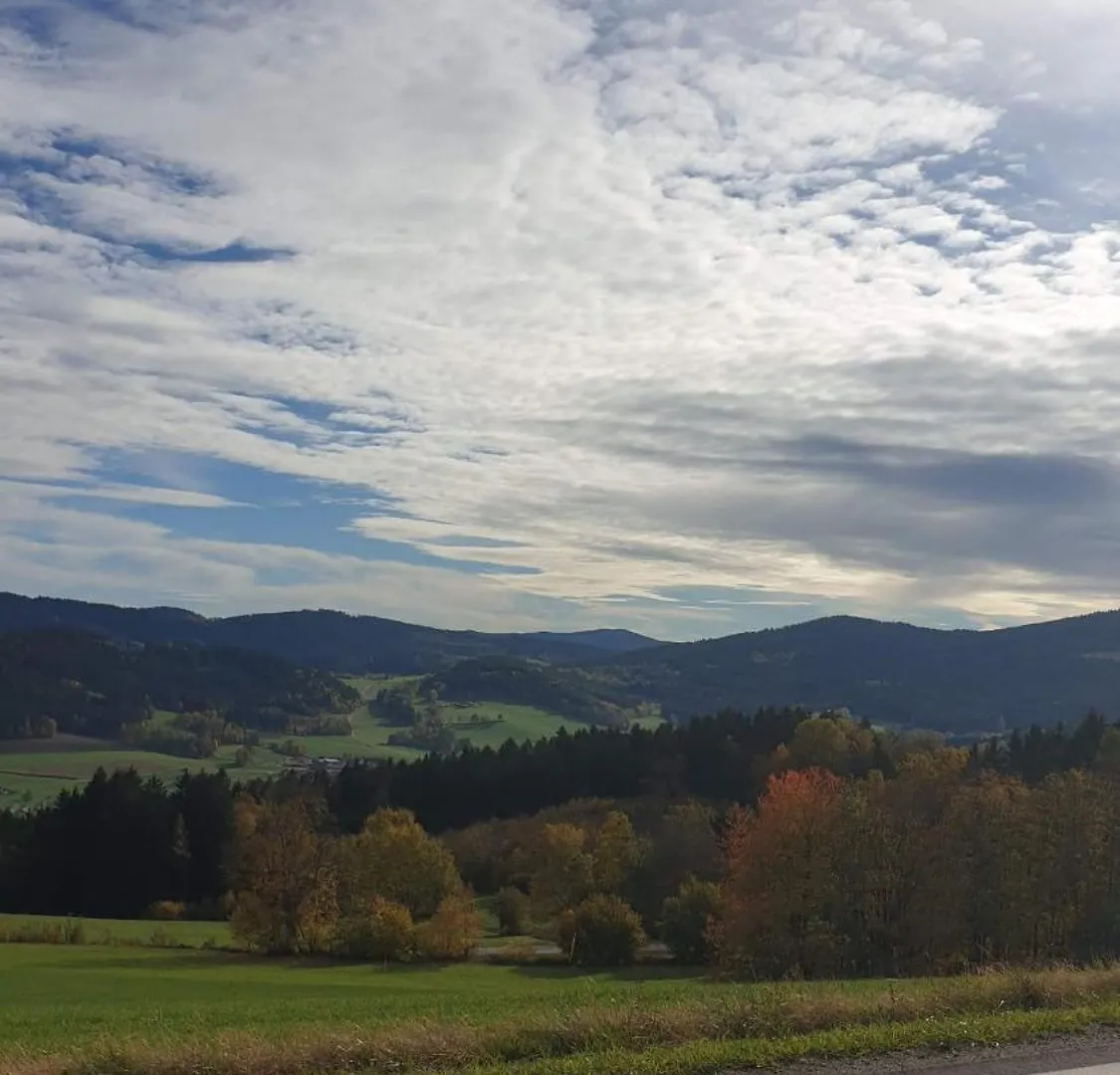 Apartment Traumurlaub Im Bayerische Wald Sankt Englmar Germany