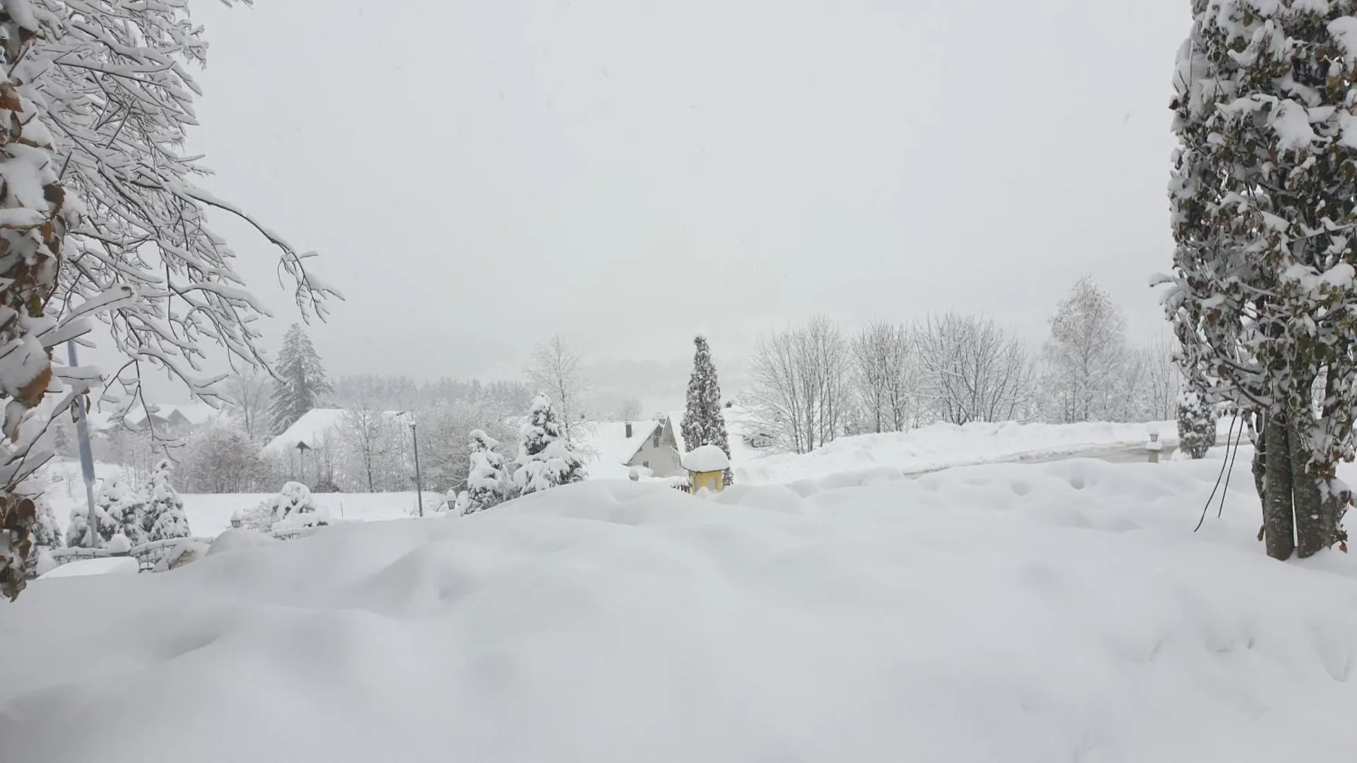 Traumurlaub Im Bayerische Wald Sankt Englmar Apartment